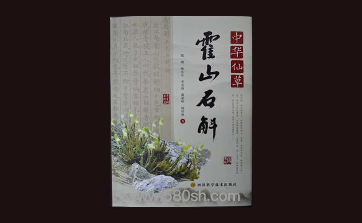 霍山石斛.jpg