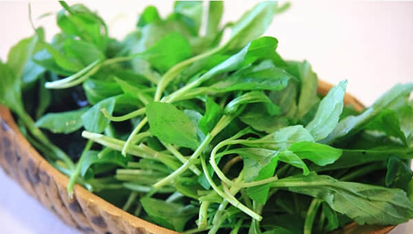 马兰头野菜的功效和作用