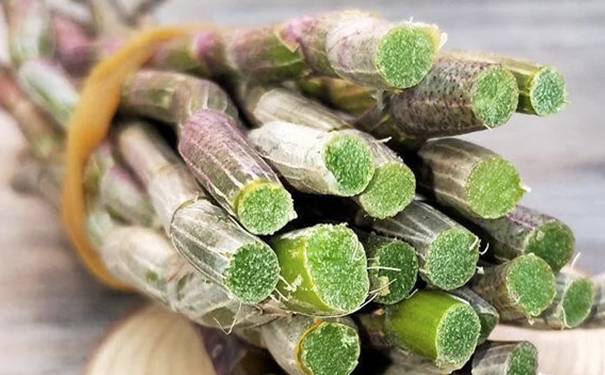 石斛能促进消化吗? 石斛能促进消化吗?